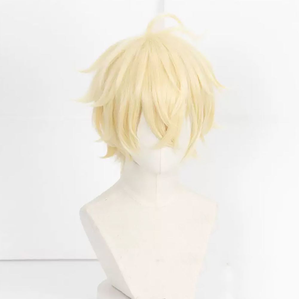 HAIRJOY Peruca de Cosplay Sint - Wig Fiber Net avaliação e preço
