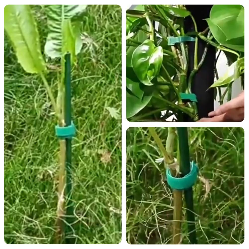 100 Peças de Laços de Nylon Re - Velcro Hook Loop avaliação e preço